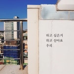 스투디아