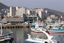 대게수산