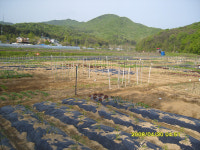 들꽃농원주말농장