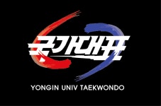 용인대 국가대표 태권도장
