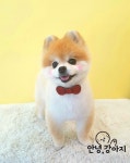 안녕강아지