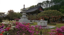 대중사