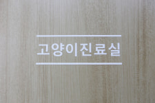송파데일리동물병원