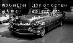 치포트모토 오토모티브