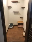 묘발소