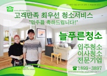 늘푸른청소