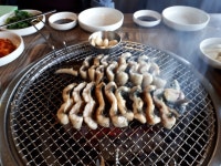 아름드리민물장어