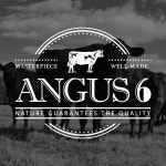 앵거스6