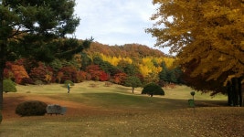 중부렌트카 증평영업소