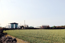 바램이 머무는 곳