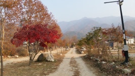 몬테비얀코 캠핑장