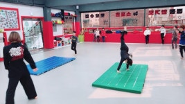티알멀티스포츠센터 & 태룡관합기도