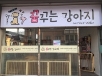 꿈꾸는강아지