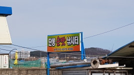 단봉손맛낚시터