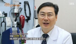 고려종합동물병원