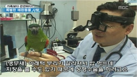 고려종합동물병원