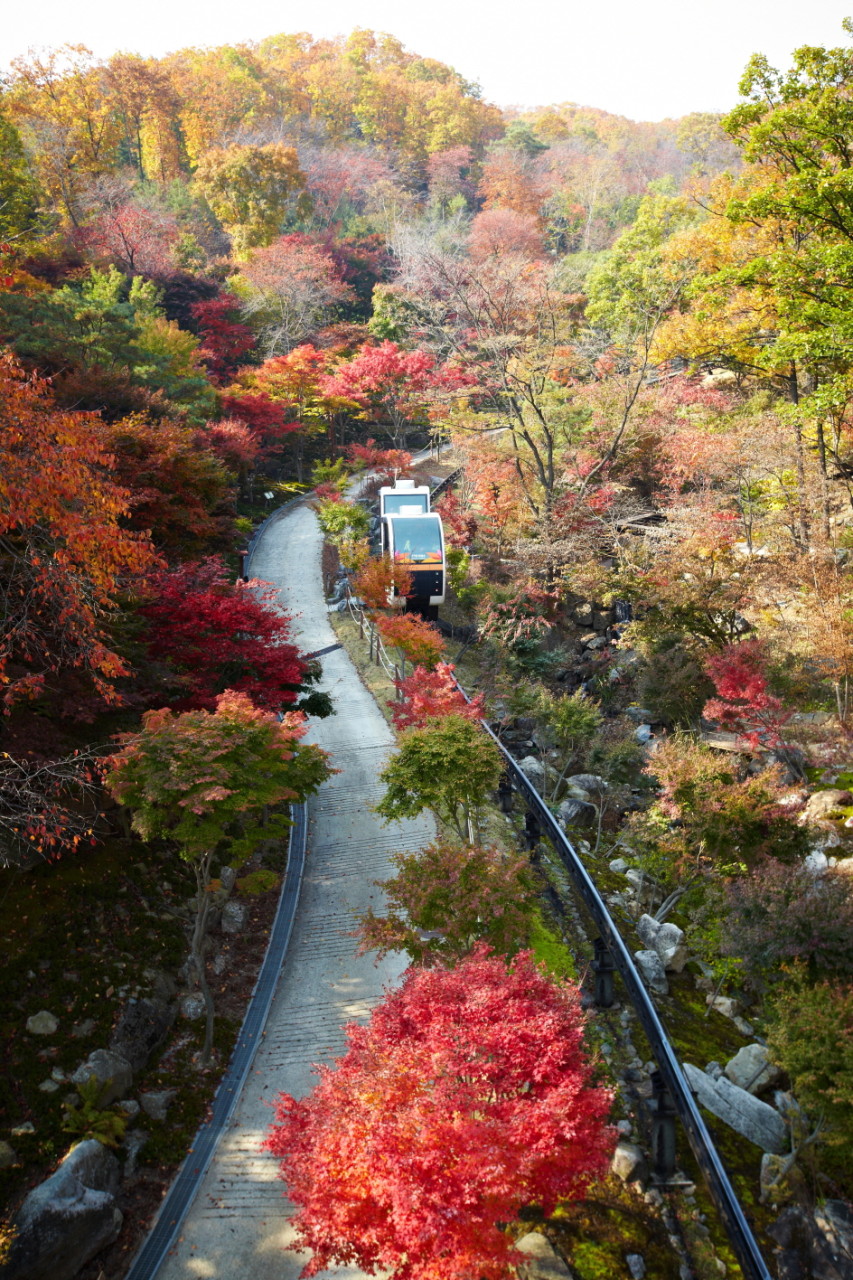 화담숲 모노레일