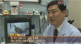 고려종합동물병원