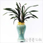 삼풍플라워
