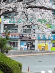 빅터 진해점