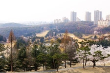 삼흥