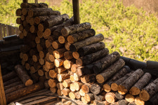 여유당한옥펜션