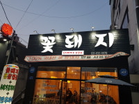 꽃돼지