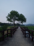 철원학마을캠프