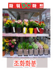 파워디시마트