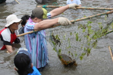 홍현해라우지마을