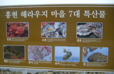 홍현해라우지마을