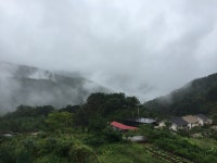 숲 속 맑은 꼴 펜션