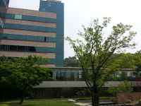 스카이필름