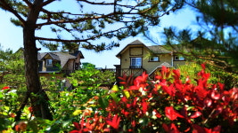 아트인티아라펜션