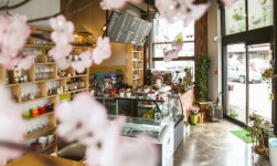 하루 카페 CAFE