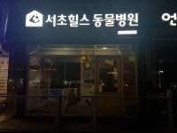 서초힐스동물병원