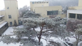 진인노인요양원