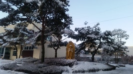 진인노인요양원