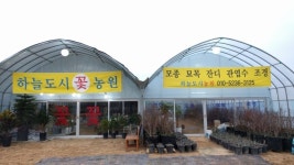 하늘도시꽃농원