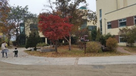 진인노인요양원