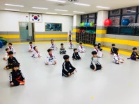 용인대석사태권도