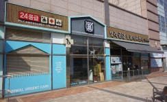 24시 청라공감동물의료센터
