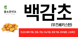 물오른약초