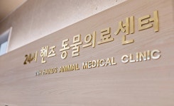 핸즈동물의료센터