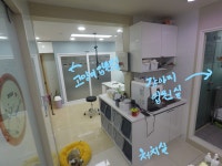 위니펫동물병원