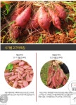 새순농장