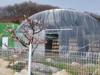 우봉진의 버섯세상