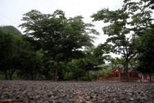 휴가를부탁해 캠핑장&펜션