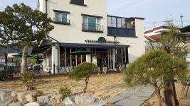 그린브라우니 부강점