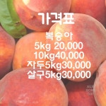 별빛누리농원
